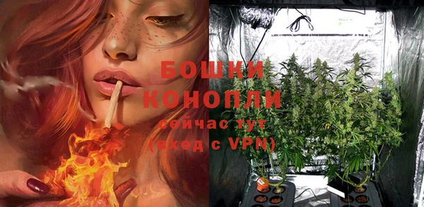 мдпв Кодинск
