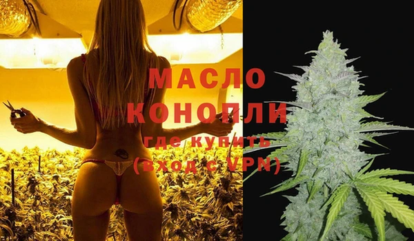 стаф Козельск