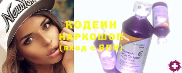 мдпв Кодинск