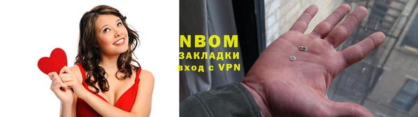 стаф Козельск
