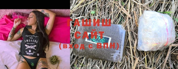 стаф Козельск