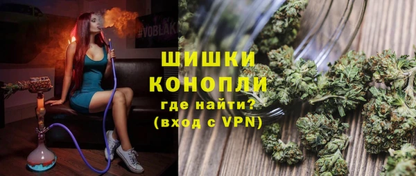 стаф Козельск