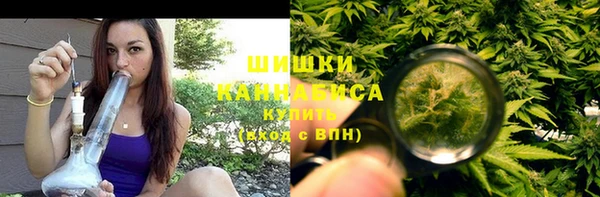 стаф Козельск