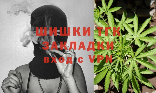 мдпв Кодинск
